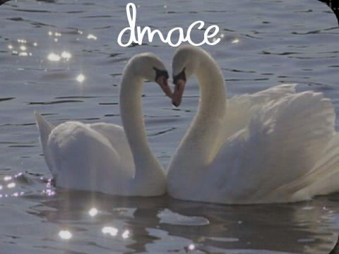 700+ dmace