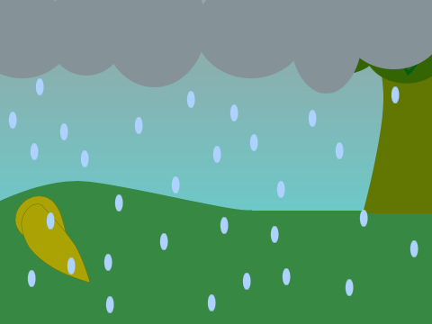 The rain