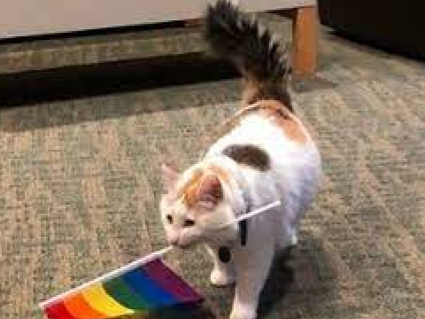 Remix if you support LGBTQ+ remix remix remix remix remix remix remix