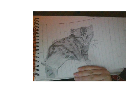 My Cat HandDrawn