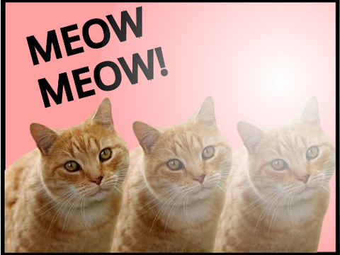 cats