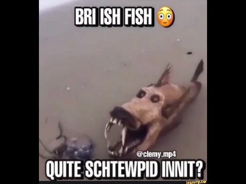 Bri' ish fish 