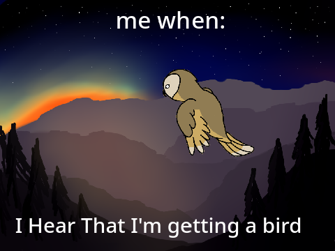 Me when