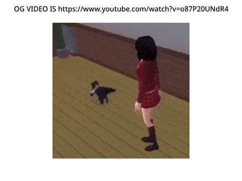 cat breakdancing video “Gato”