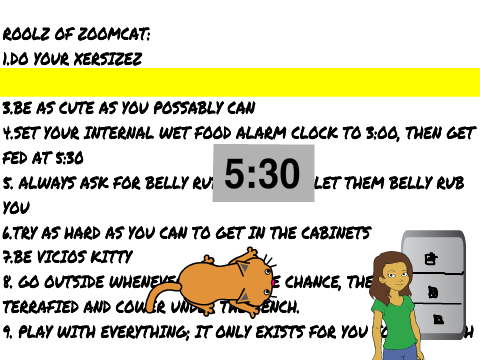 ROOLZ OF ZOOMCAT