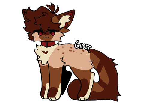 Lazy advent calender day 3 CALIMED