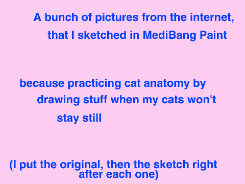 Sketches from Internet Pictures