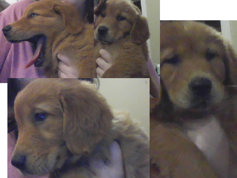 My new baby! His name's Martin