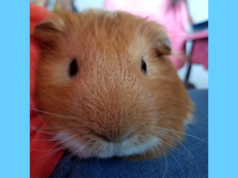 ❤Smore❤