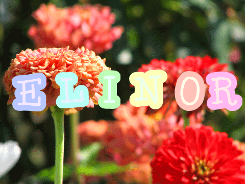 Elinor