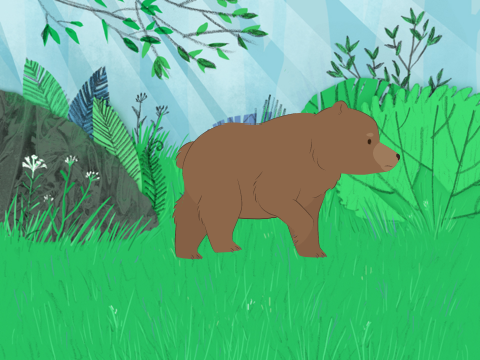bear walk