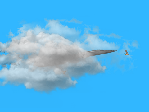 Flight Simulator Top Gun Maverick 