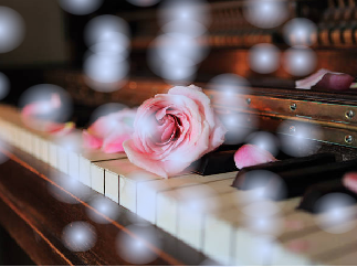Winter piano contest ( 50+ follower special )