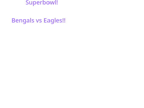 NFL playoffs the super bowl