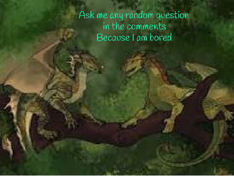 I'm bored, ask me any random question in the comments
