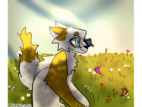 DTIYS ENTRY