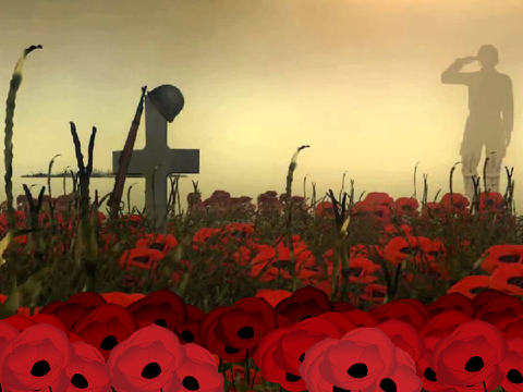 In Flanders Fields