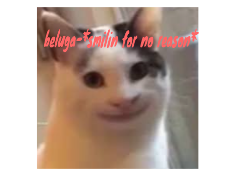 If beluga was president 0-0