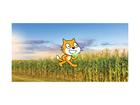 Its Corn!!