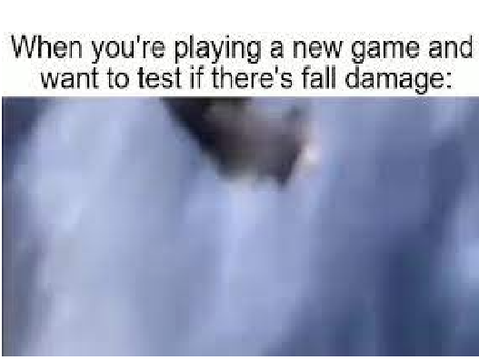 Fall damage meme again..