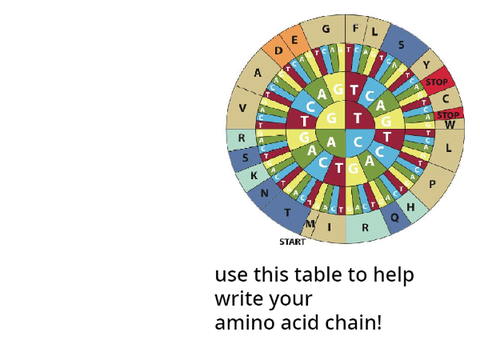Sequence the Genome!