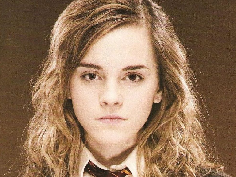 Talk To Hermione Granger! | #all #games #interactive #harry #potter #Hermione #Granger #Fun