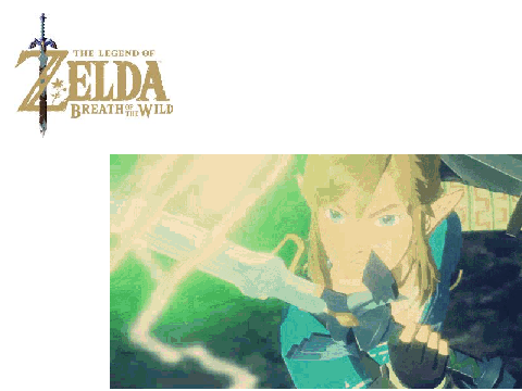 Zelda Champions