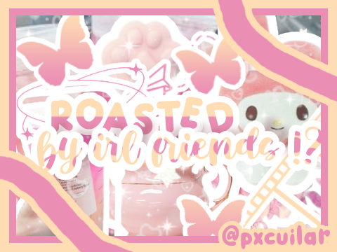 ♡ irl friends→r̳o̳a̳s̳t̳ me ⊹. ☘️