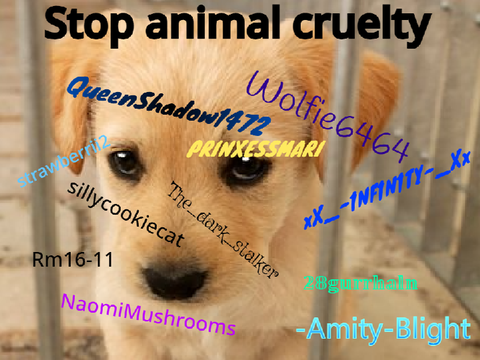 Sign to stop animal cruelty 