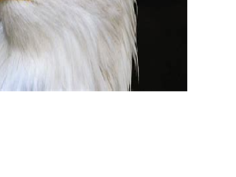 ÆÆÆÆÆÆÆÆÆÆÆÆÆÆÆÆÆÆÆÆÆÆÆÆ