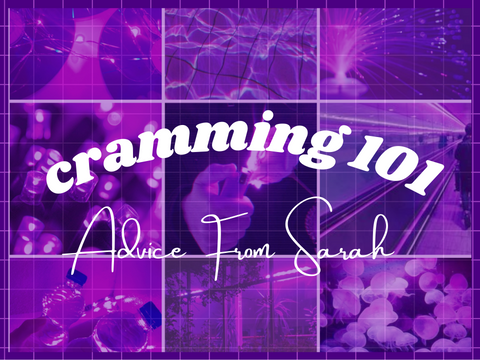 ♫┊cramming 101