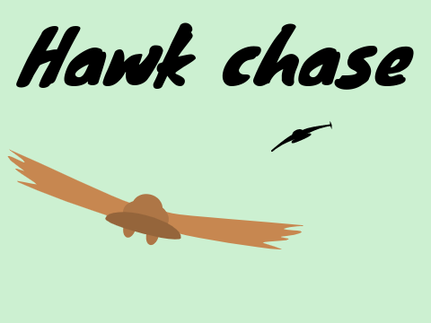 Hawk chase
