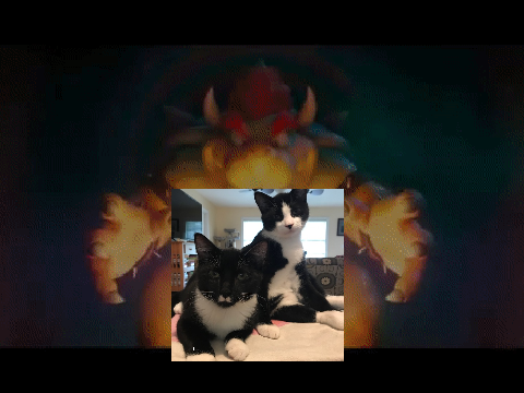 Now Who's Gonna Stop Me! Kittens