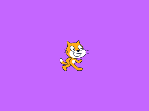 I have a surprise for you!