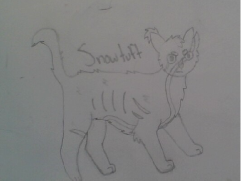 Snowtuft