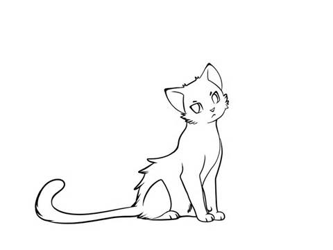 remix a contest! shecat or tom