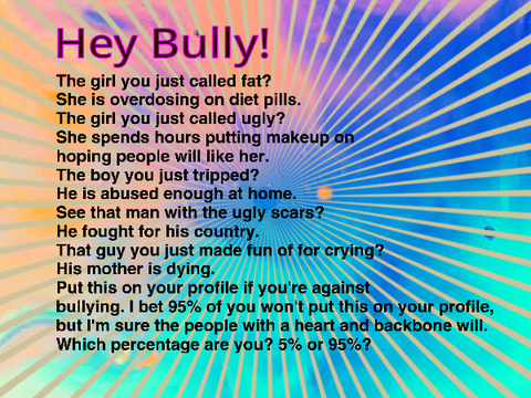 Hey bully!  remix