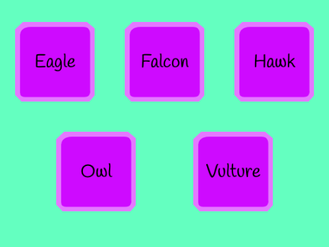 Raptor Anatomy