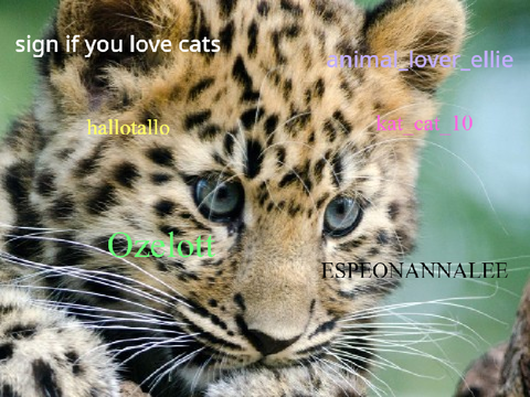 sign if you love cats 