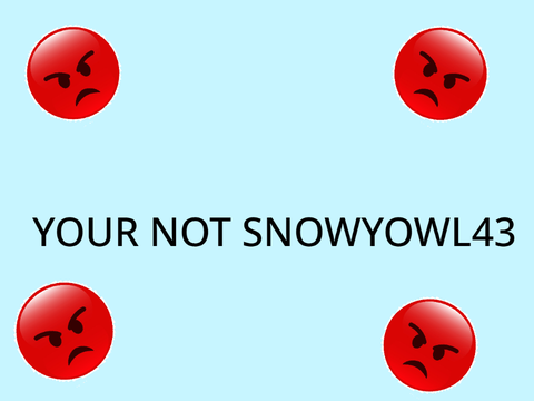 Pfp for snowyowl43