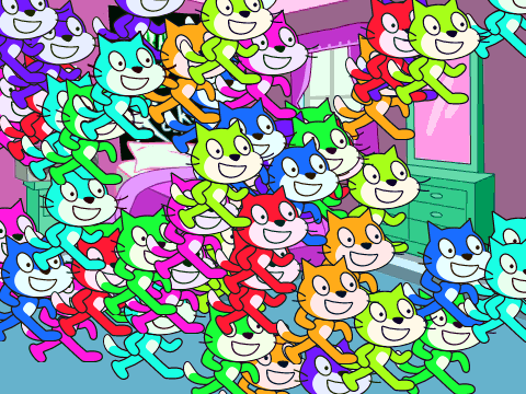 cat party...