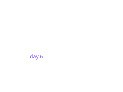 random animation (WIP) | day 5 Complete