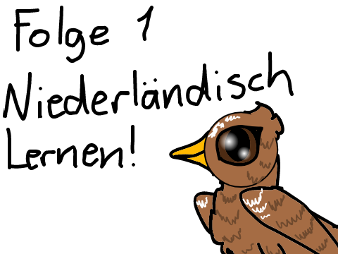 Folge 1 - Niederländisch lernen!