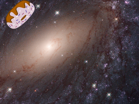 donut in the universe!