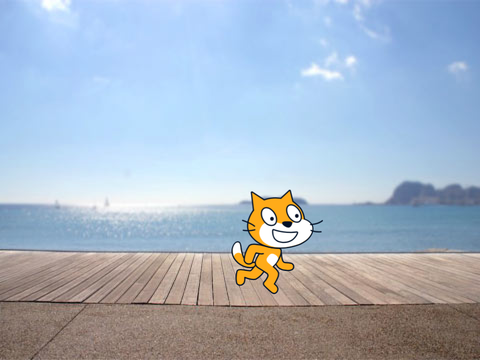 Orange Cat Z&G