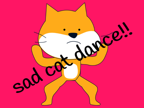 sad cat dance!!