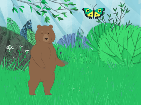 Bear Adaptation