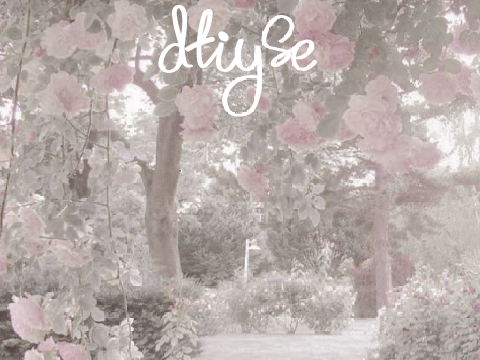dtiyse!