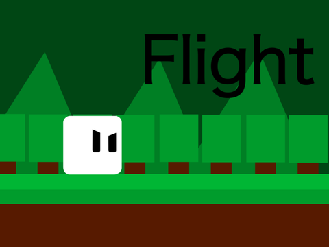 Flight