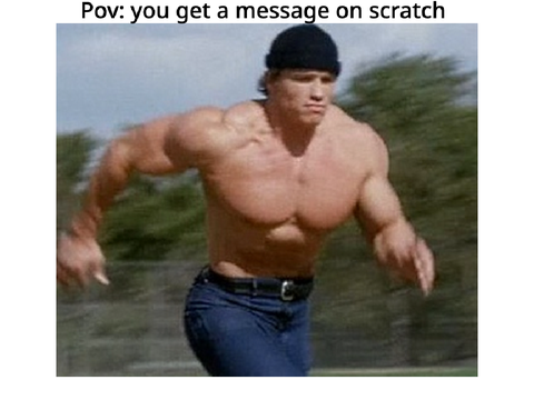 Scratch memes!